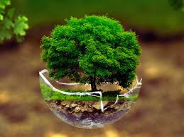 Medio ambiente y sostenibilidad